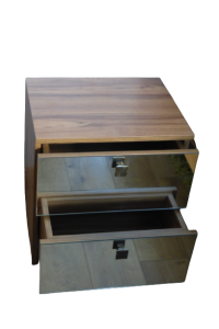 P1070319-removebg-preview